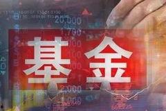 申城一哥头条新闻视频,揭秘视频背后的热点事件