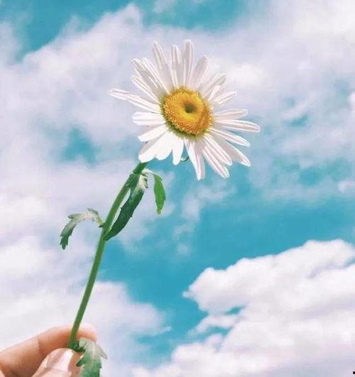 安徽网红的暖心句子,暖心句子温暖人心