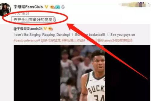 篮球明星两个字,篮球明星传奇之路