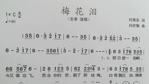 网红流行情歌梅花泪歌词,深情演绎，网红情歌中的泪滴传奇