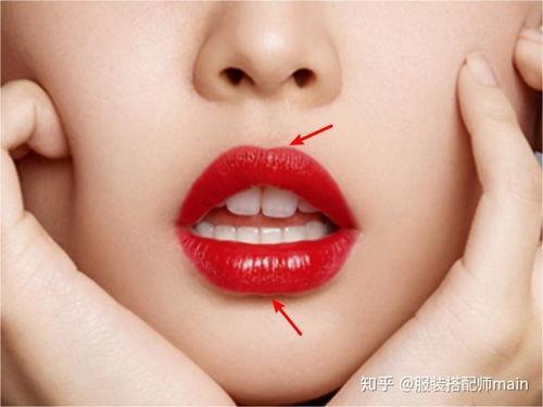 花瓣唇 明星,魅力绽放的时尚面孔
