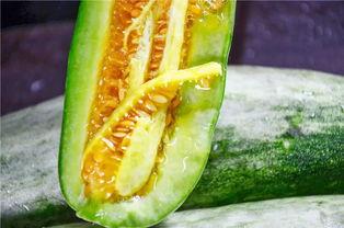 在哪里吃网红的瓜,探寻美食与八卦的交汇之地