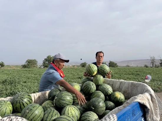 柳州喜柿吃瓜,探寻地方特色美食之旅