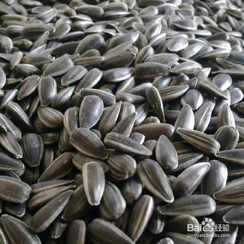 新疆瓜子瓜可以吃吗,美味佳肴，健康食用指南