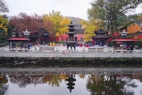 南京网红佛,千年古刹的智慧之光