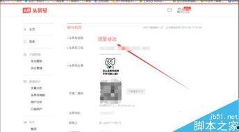 头条可以改名称吗吗,探索内容平台更名背后的故事