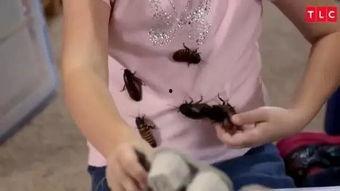 女孩踩蟑螂抖音网红,勇气可嘉还是恶趣味？