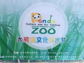 上海头条 熊猫爱大米,熊猫爱大米，探寻国宝与美食的奇妙邂逅