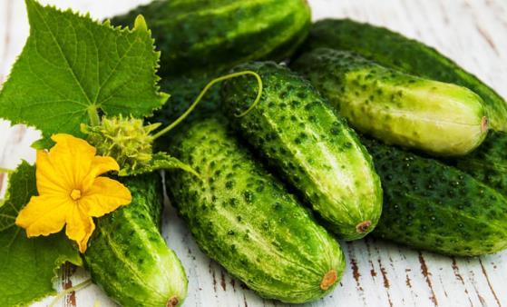 连皮吃的瓜图片