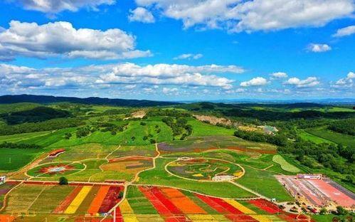 番禺莲花山新闻头条,揭秘莲花山生态旅游新亮点