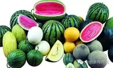 伤秋吃瓜,品味瓜果的甘甜与人生百态