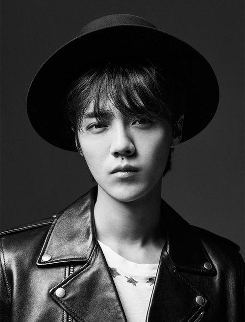 zap明星,闪耀舞台的璀璨之星