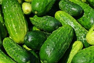 梦见自己吃八一瓜