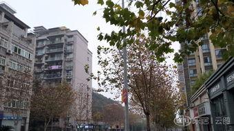 融汇集团重庆新闻头条